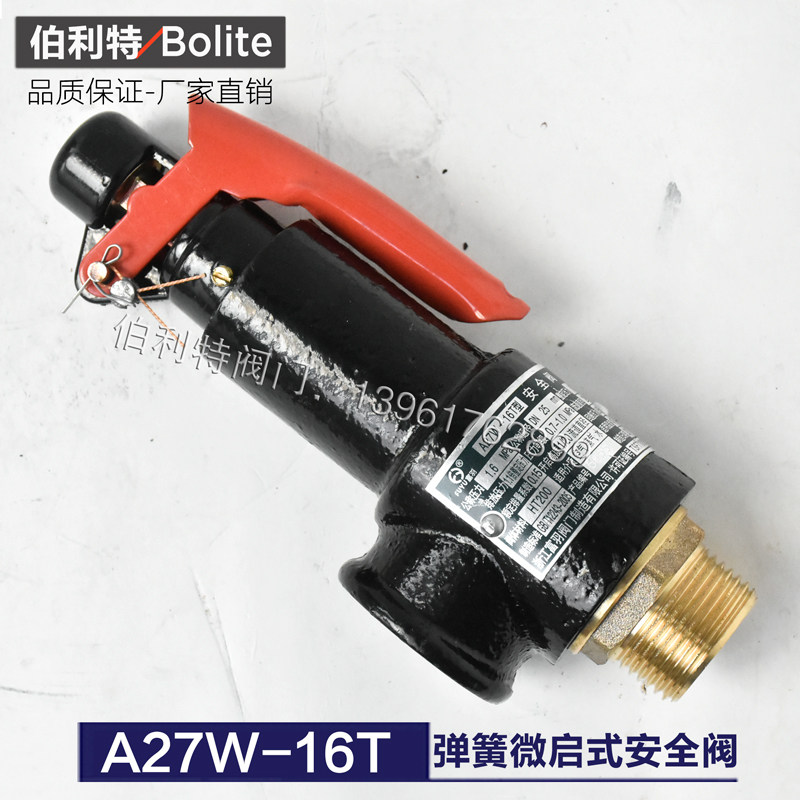 Fuplume A27W-10T 16T spring micro-inspired safety valve deposit cylinder steam boiler pressure relief valve DN20 25