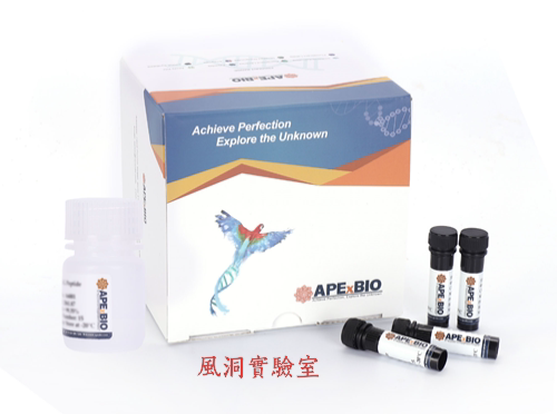 LDH Cytotoxicity Assay Kit(Fluorometric) 荧光LDH细胞毒性试剂