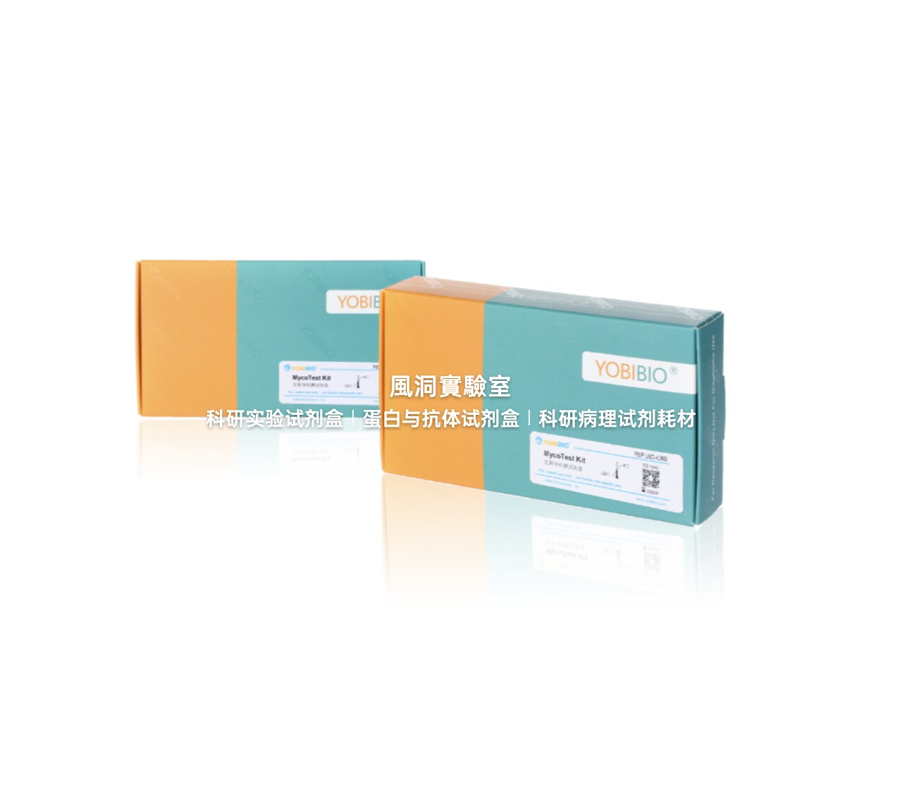 MycoTest Kit 支原体检测试剂盒 用于各种生物材料支原体感染检测