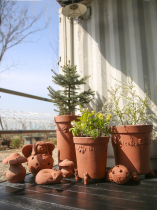 Fall in love with garden red pottery pottery pots large breathable outdoor garden lemon relief Oval Basin
