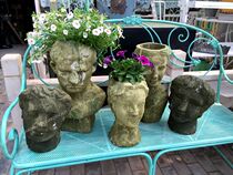 Fall in love with garden red pottery flower pot portrait basin multi-meat color pottery basin courtyard decoration old moss series