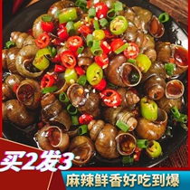 Spot Shunfeng spicy snails Fragrant snails open cans ready-to-eat high temperature sterilization cold chain delivery 250g * 3 cans