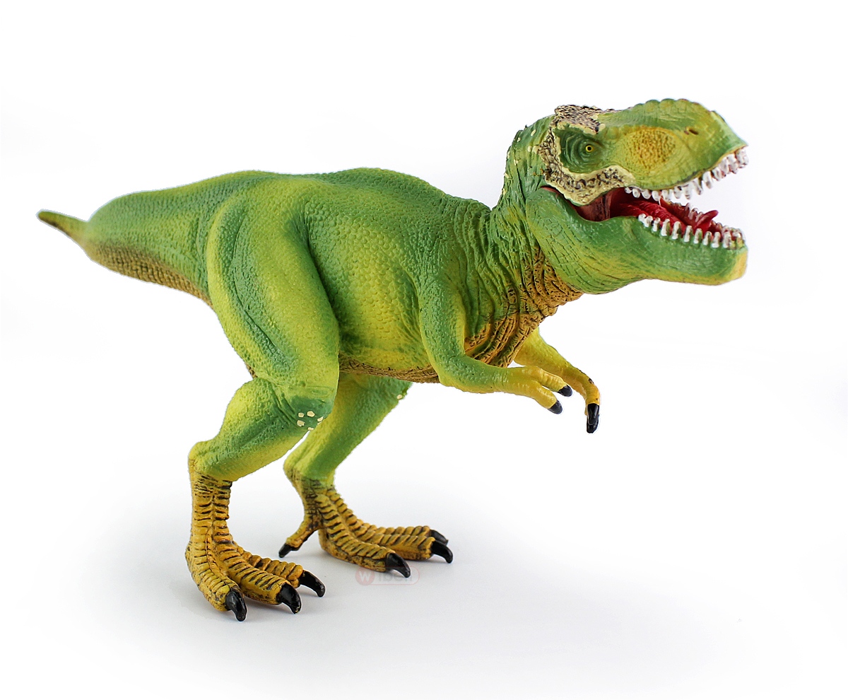 Nữ hoàng kỷ Jura Rex Tyrannosaurus Mô hình động vật khủng long bằng nhựa rắn Tyrannosaurus Rex Boy - Đồ chơi gia đình bộ đồ chơi