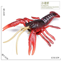 Раки красный