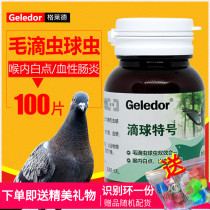 Glyde drop ball special pigeon medicine Trichomonas coccidiosis two-in-one mouth yellow water green stool pigeon medicine Daquan common diseases