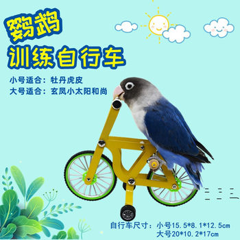 Parrot bicycle toy bird training supplies tiger peony