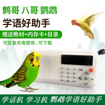 Daily bird learning machine parrot learning phone machine Starling theory phone machine repeater brother recording machine