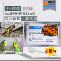 Pigeon Saiers main bird pet peony tiger skin parrot Medicine life-saving throwing water will be sparsely closed