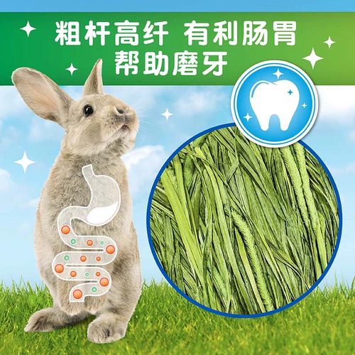 Joy & Fiber Titami Cao (один раз) Tisa Rabbit Totoro, Donarnar, сушеная трава, трава, трава, трава