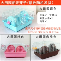 Гранд -пастырская клетка Повышение цвета