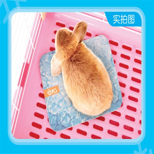 Совет по охлаждению кролика Тоторо Тоторо, звонящий доска голландских свиньи, шахта Dolustra Countainet Pets Board Pet Board Cold Board OC17