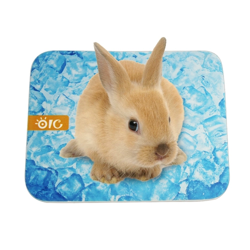Совет по охлаждению кролика Тоторо Тоторо, звонящий доска голландских свиньи, шахта Dolustra Countainet Pets Board Pet Board Cold Board OC17