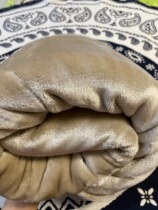 Micro-flaw export Japan N home moisture WSP double moisturizing warm mattress non-slip thick anti-static pillow pad