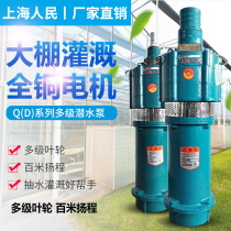 Small mouse multi-stage pump high head farmland pumping irrigation household deep well pump large flow submersible pump