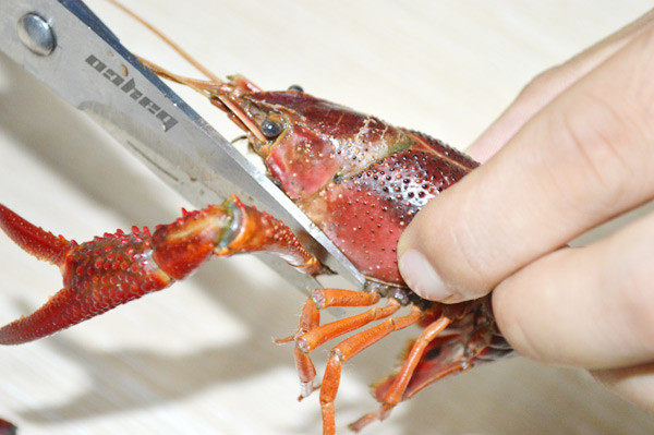 美国Jese jese破壁机 破壁料理机 变频破壁机 破壁机 三维变频技术 料理机 弹性素食 破壁料理机选变频