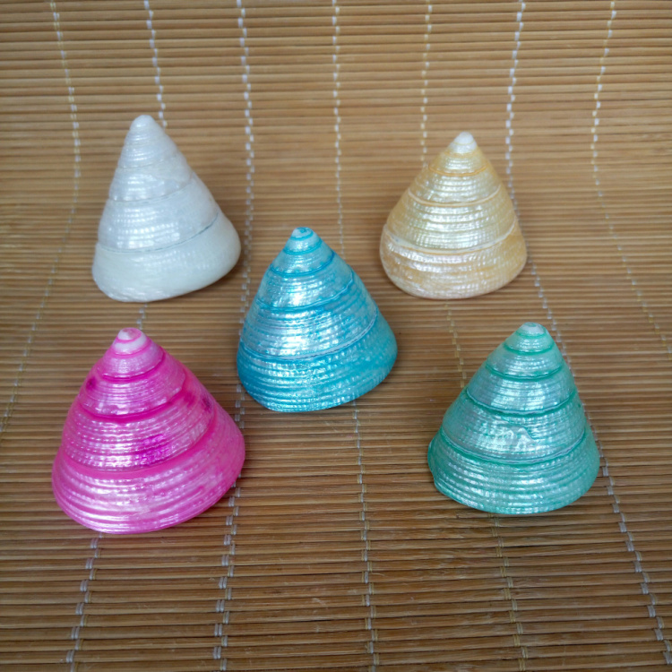 Natural conch shell colorful pearl pagoda screw Mediterranean home decoration Window design Creative gift