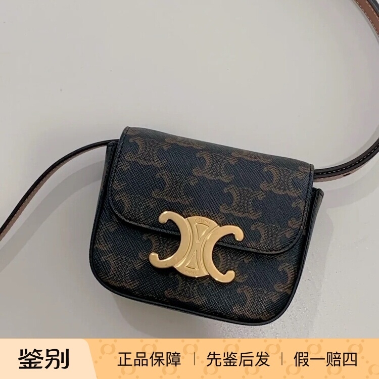 Celine Arc De Triomphe Mini Crossbody Bag, Cowhide, Lock Closure