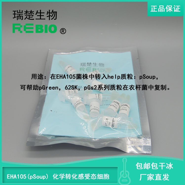 包邮包干冰EHA105(pSoup) 化学转化感受态细胞根瘤农杆菌感受态