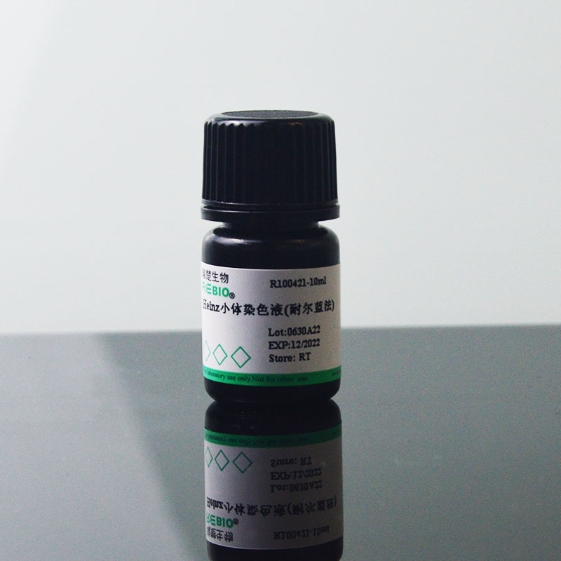 Heinz小体染色液(耐尔蓝法)10mlREBIO R100421