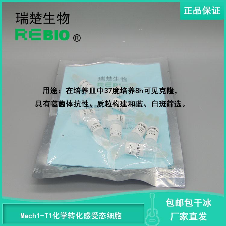 顺丰包邮包干冰Mach1-T1化学转化感受态细胞大肠杆菌10支20支50支