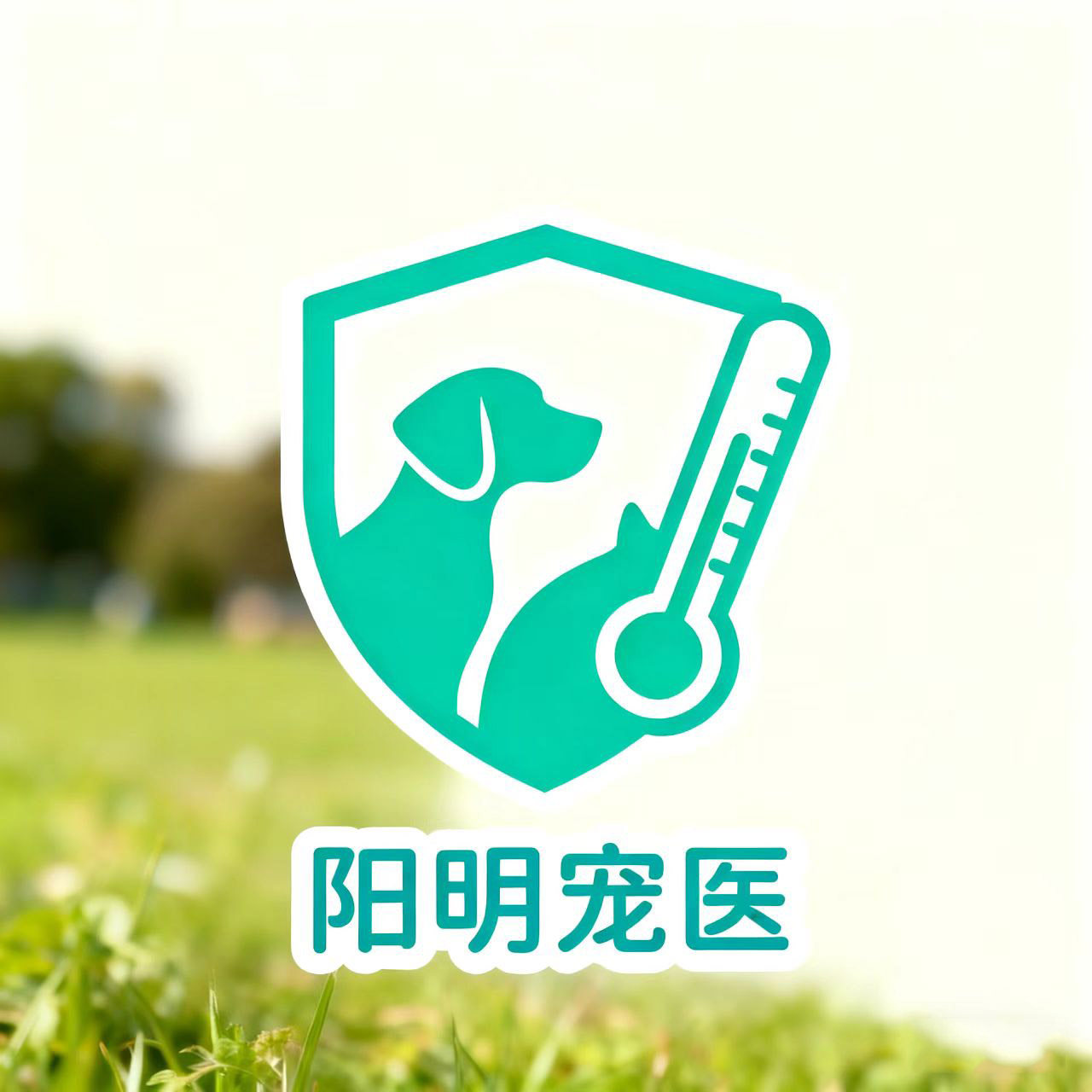 阳明宠物医院