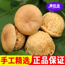 Fengliu Guo Ke sulfur-free new fruit wild glans penis dried fruit Tianzhu grains no rotten fruit Chinese medicinal materials soaked in wine