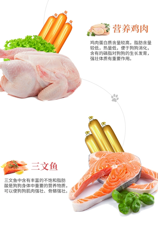 Chó ăn vặt giăm bông giăm bông 100 xúc xích không muối teddy lông vàng huấn luyện chó mèo vật nuôi canxi hộp đầy đủ spree - Đồ ăn vặt cho chó hạt cho chó