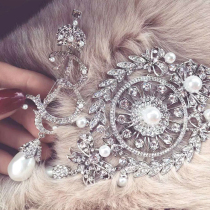 Winter Coat Silver Shield Brooch High End Pearl Inlaid Drill Badge Shiny Drill Butterfly Knot Crown Retro Chest