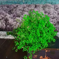 Зеленый, 450 грамм, 500 грамм