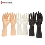 Модель рук, мужской манекен головы, перчатки, стенд