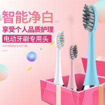 Hilton E802E602 E810 E806 special replaceable toothbrush head(buy more and enjoy more benefits)