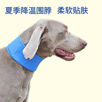 Summer gel dog cooling ice scarf cool summer heat stroke prevention comfortable French Bulldog Labrador Golden Retriever Shiba Inu