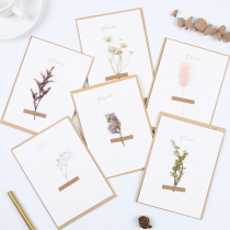 Beginner dried flower greeting card set creative simple and beautiful stationery flower specimen decoration diy envelope small card Fresh confession birthday blessing card