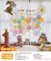 M02 Macaron Ins Package Balloon