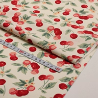 Чай улун Да Хун Пао, 0.5м, 1.6м