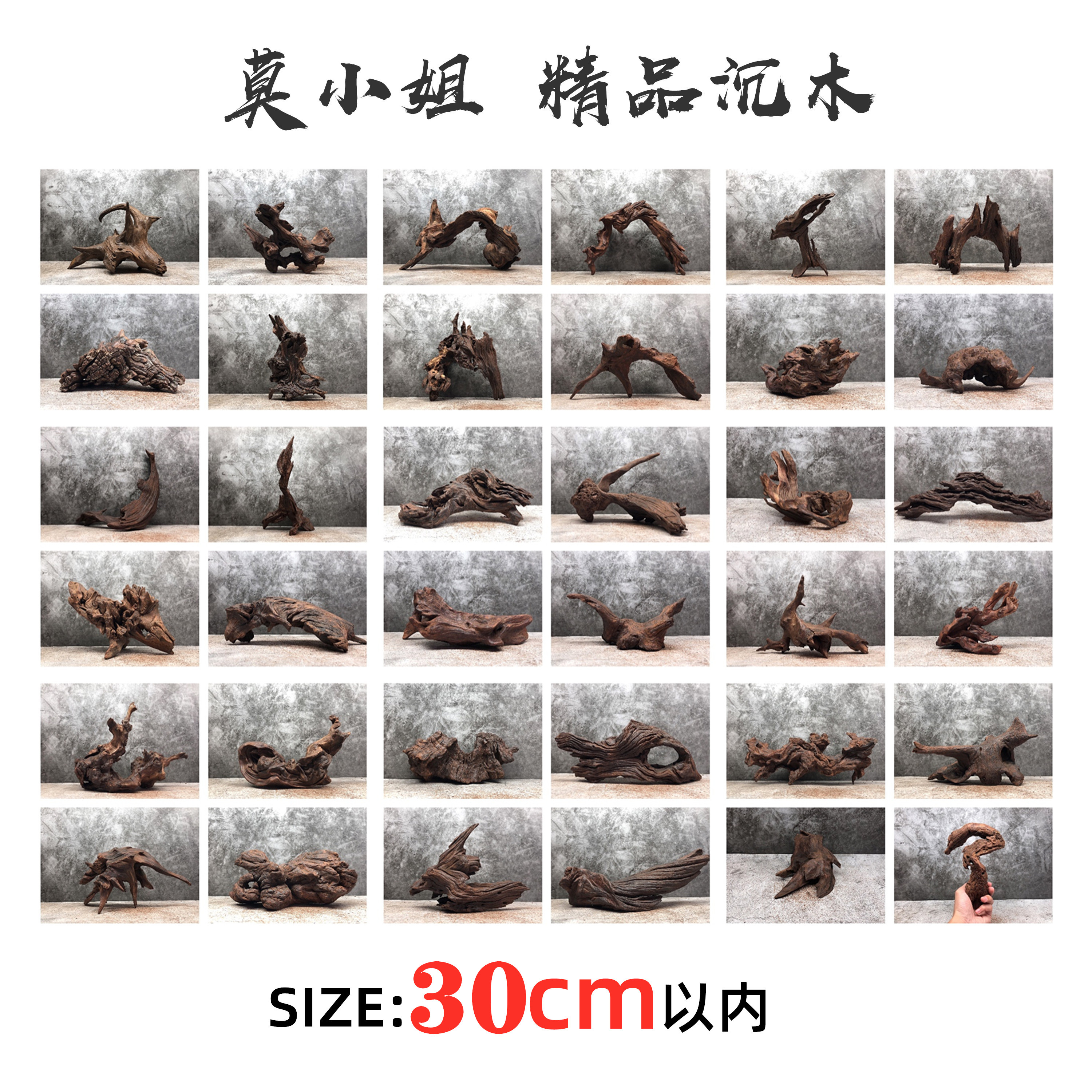 (Miss Mok) Within 30CM sinking wood small fish tank landscape turtle drying table Shaped South American tank Purple teak wood