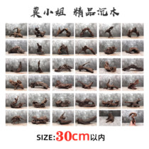 (Miss Mo) Within 30CM small fish tank landscaping turtle drying platform shaped South American tank purple teak wood