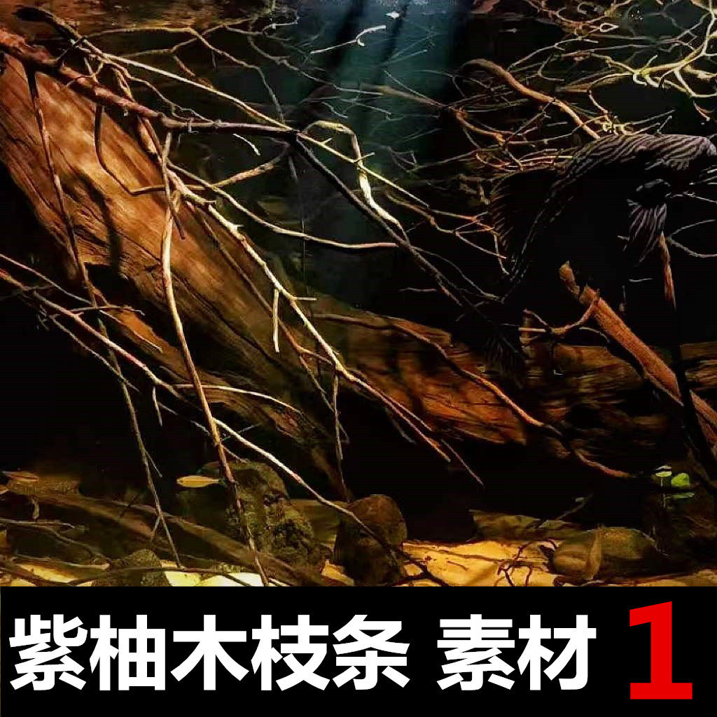 (Miss Mo) purple teak branch material South American grass tank skeleton three pieces