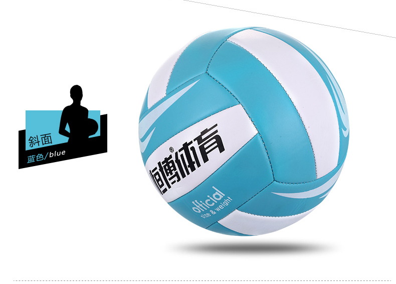 Ballon de volley - Ref 2011773 Image 12