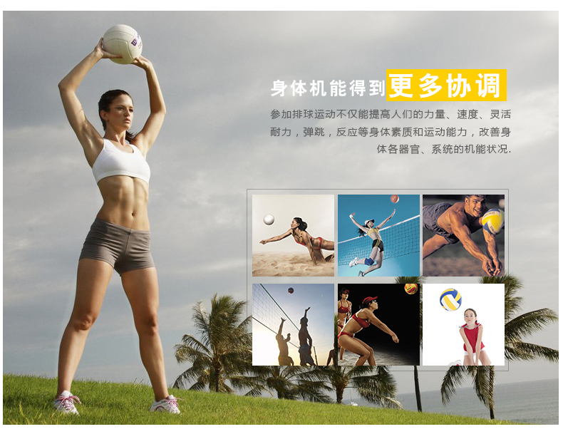 Ballon de volley - Ref 2011773 Image 14