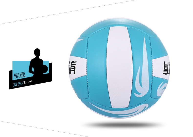 Ballon de volley - Ref 2011773 Image 11