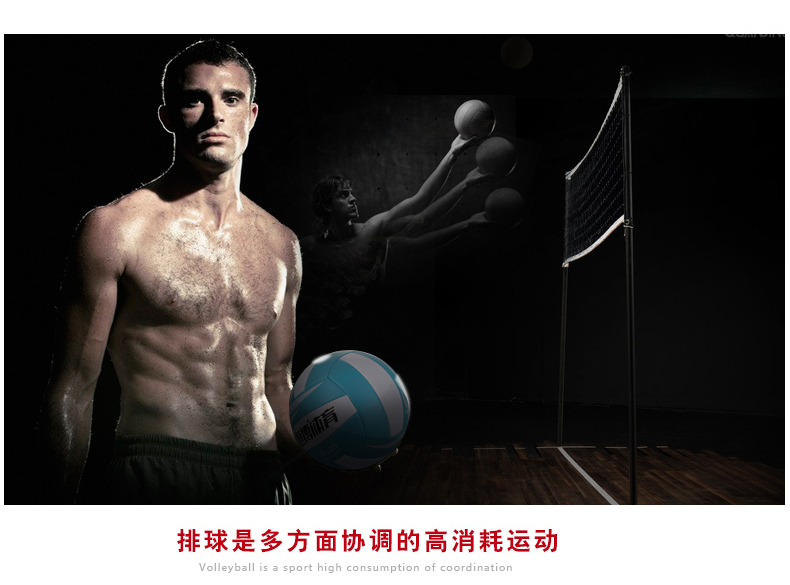 Ballon de volley - Ref 2011773 Image 13