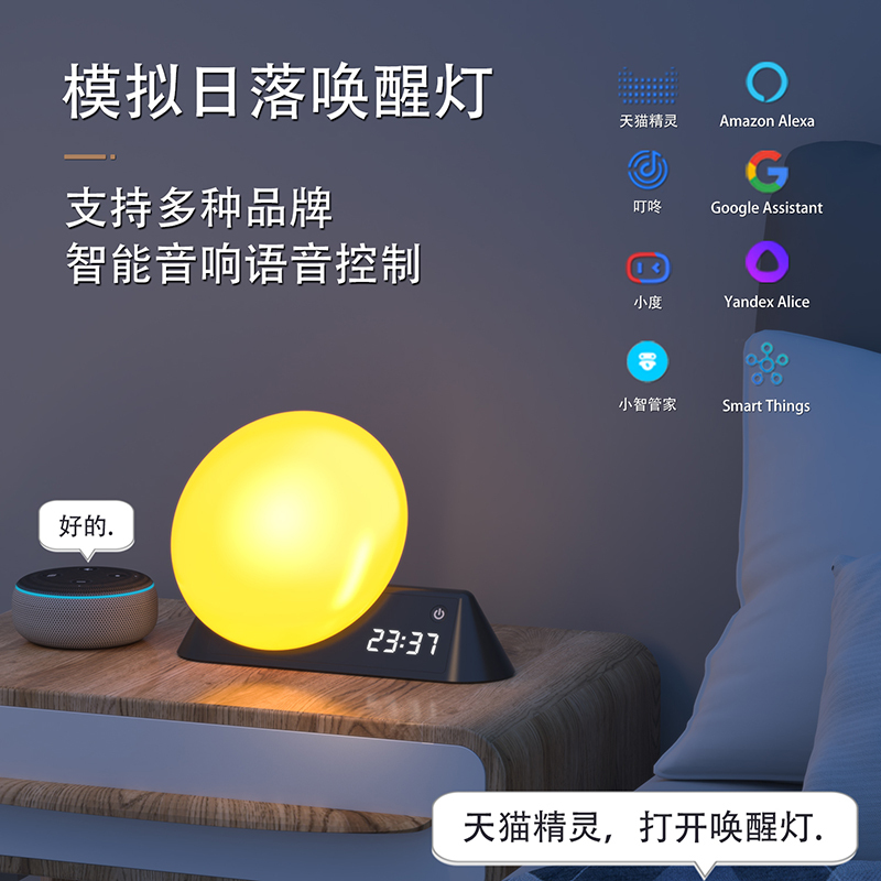 Sunrise and Sunset Light Alarm Clock, Natural Light Silent Wake-Up Light, Wake-Up Timer, Light-On at Scheduled Time, App Control, Sleep Companion Ambient Light Sunrise and Sunset Light Alarm Clock, Natural Light Silent Wake-Up Light, Wake-Up Timer, Light-On at Scheduled Time, App Control, Sleep Companion Ambient Light