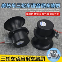Трехколесный велосипед, электрический мегафон, 12v, 48v, 60v, 72v