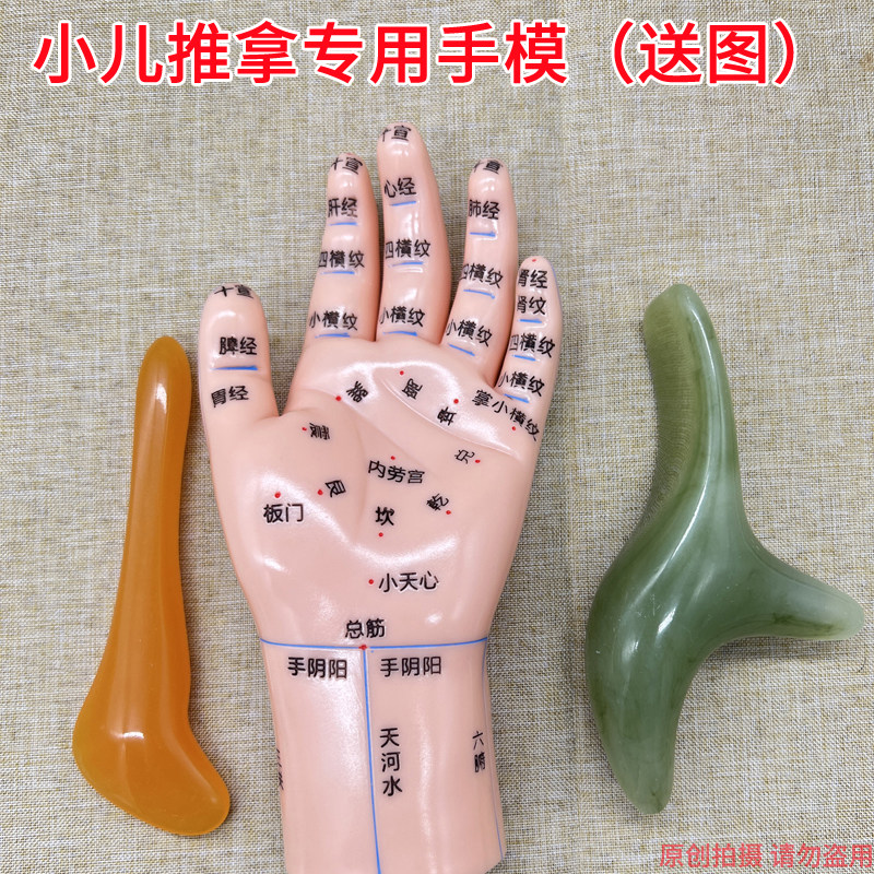 17cm小儿特定穴位推拿按摩手模型月嫂小儿手模积食咳嗽送穴位图