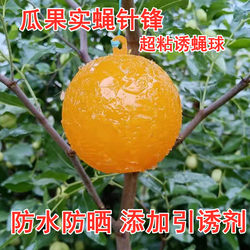 Fly Trap Ball, Citrus Fruit Fly, Melon Fruit Fly, Sticky Insect Trap Ball, Wasp Fruit Fly Trap Ball, Insect Trap Ball, Wasp Attractant