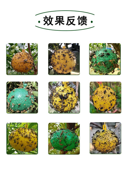 Fly Trap Ball for Citrus Fruit Flies, Sticky Trap Ball for Melon Fruit Flies, Wasp Fruit Fly Trap Ball, Wasp Attractant