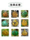 Fly Trap Ball for Citrus Fruit Flies, Sticky Trap Ball for Melon Fruit Flies, Wasp Fruit Fly Trap Ball, Wasp Attractant