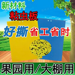 Insect Trap Boards: Yellow Boards, Double-Sided Insect Repellent Stickers, Insect Trap Boards, Blue Boards for Thrips, Suitable for Greenhouses, Orchards, Tea Gardens, and Flowers, Effective Against Aphids and Whiteflies