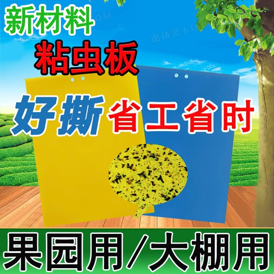 Insect Trap Boards: Yellow Boards, Double-Sided Insect Repellent Stickers, Insect Trap Boards, Blue Boards for Thrips, for Greenhouses, Orchards, Tea Gardens, Flowers, to Trap Aphids and Whiteflies